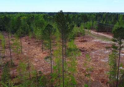 70 dji fly 20260407 145404 216 1775588176799 photo optimized