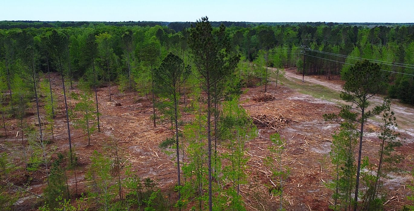 70 dji fly 20260407 145404 216 1775588176799 photo optimized