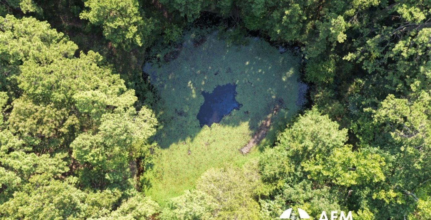 711 Pond 1