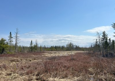 712 20250423 184918982 i OS