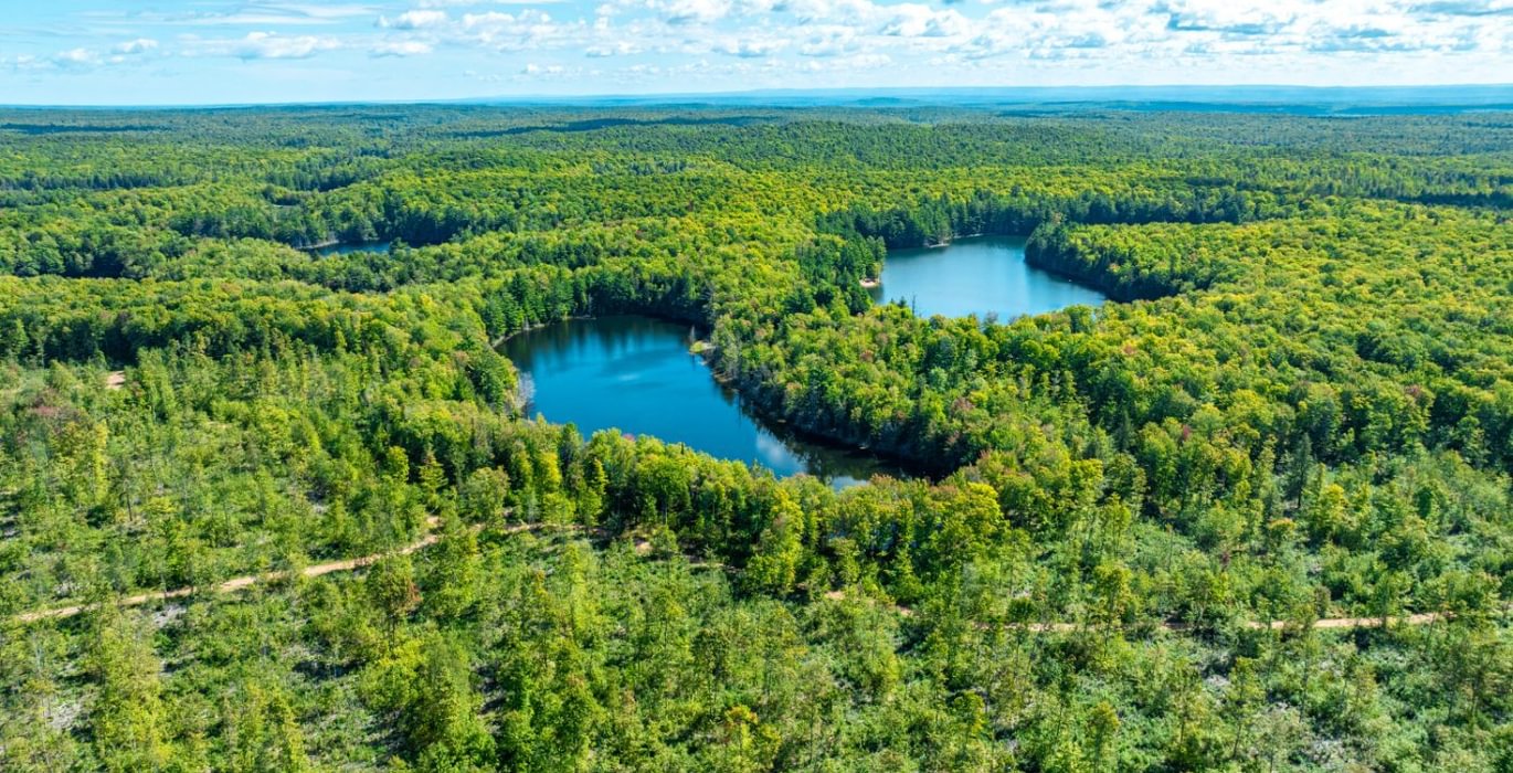 713 20260910 Horseshoe Lake Trina 18