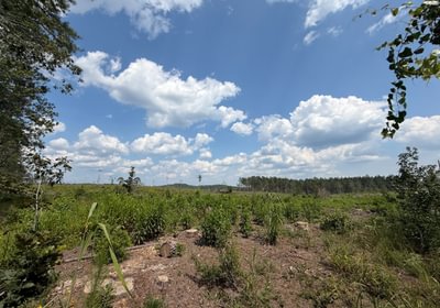 713 IMG 0250