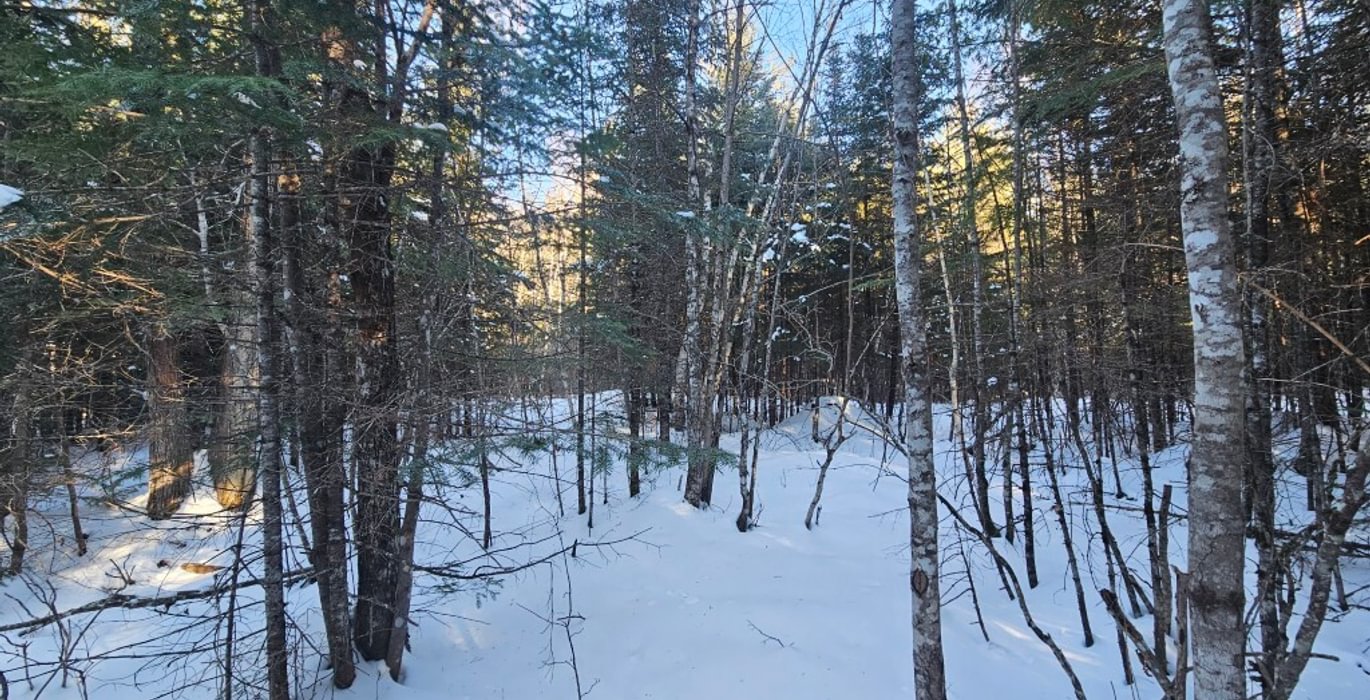 714 7 Lot off Woods Road