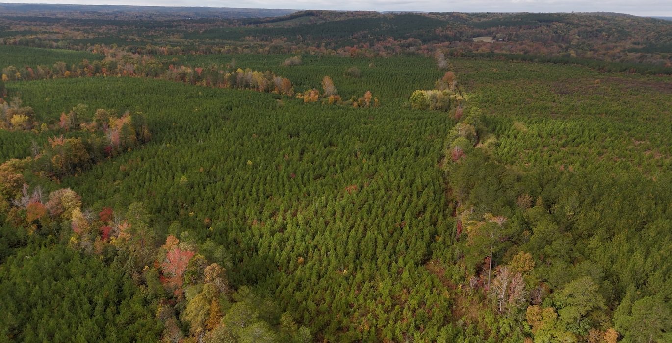 714 AFM Richmond 126 Tract Photo 5