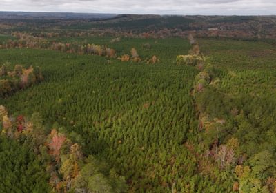 714 AFM Richmond 126 Tract Photo 5