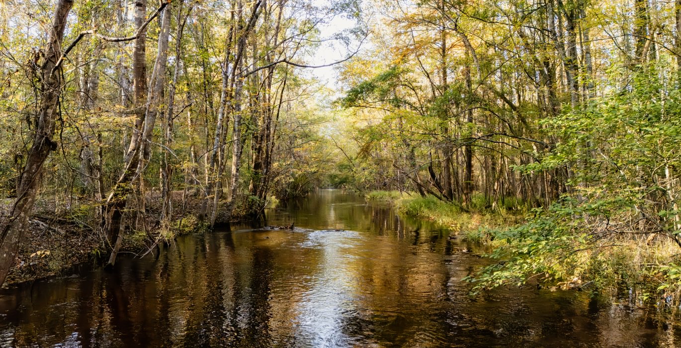 715 DJI 20251106153923 0485 D 1