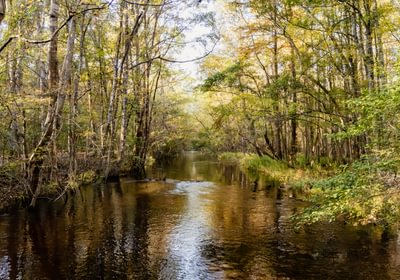 715 DJI 20251106153923 0485 D 1