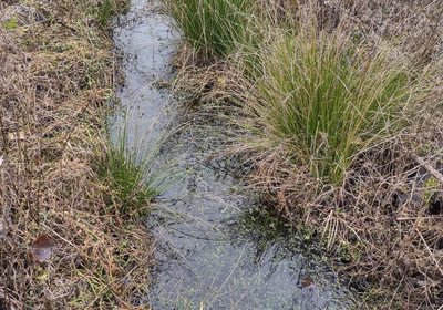 715 IMG 20260114 132930415 HDR