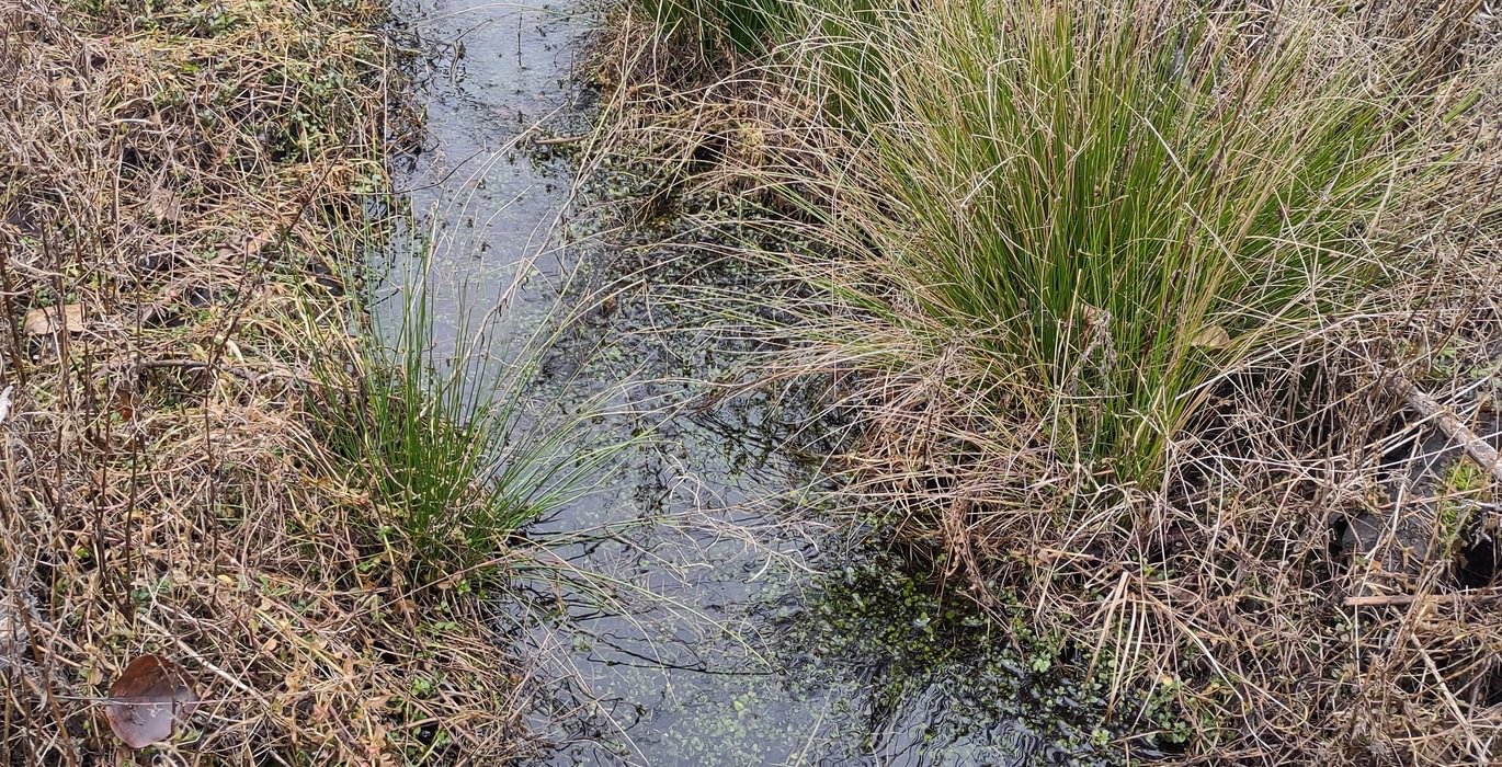 715 IMG 20260114 132930415 HDR