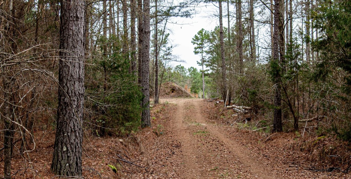 716 FORTLAWN IMG 6812