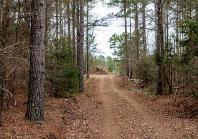 716 FORTLAWN IMG 6812