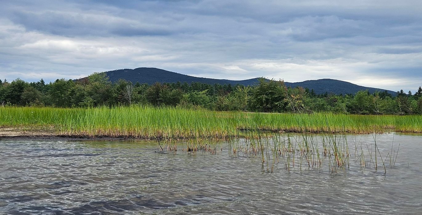 718 shoreline from water 3 with Pleasant Mt