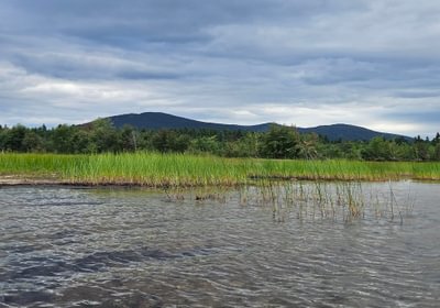718 shoreline from water 3 with Pleasant Mt