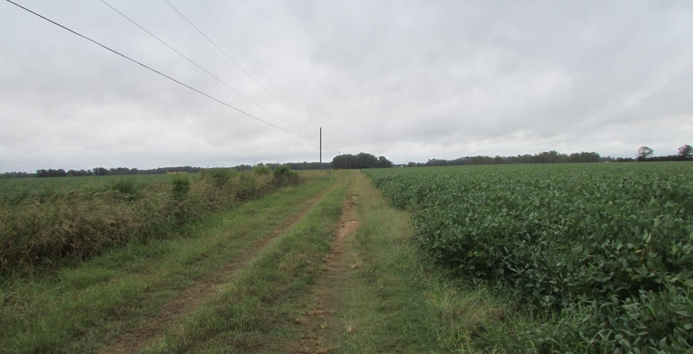 71 48 IMG 1158