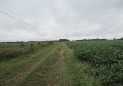 71 48 IMG 1158