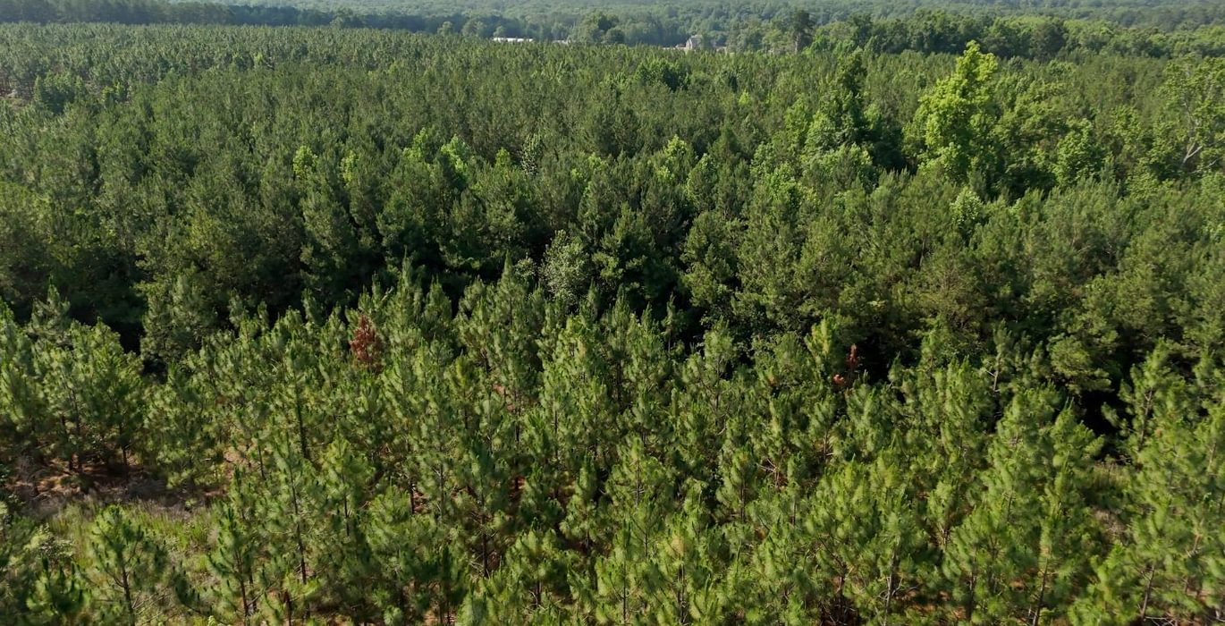 71 Longleaf Mecca Photo 28