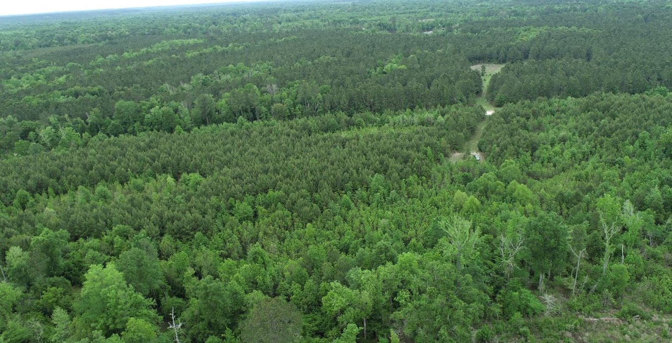 720 DJI 0416