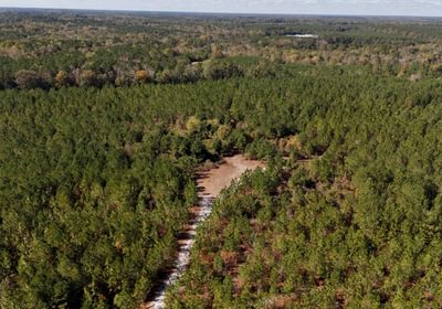 721 AFM Bladen 339 Photo 23