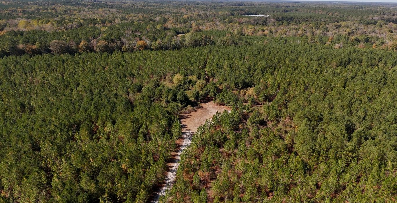 721 AFM Bladen 339 Photo 23