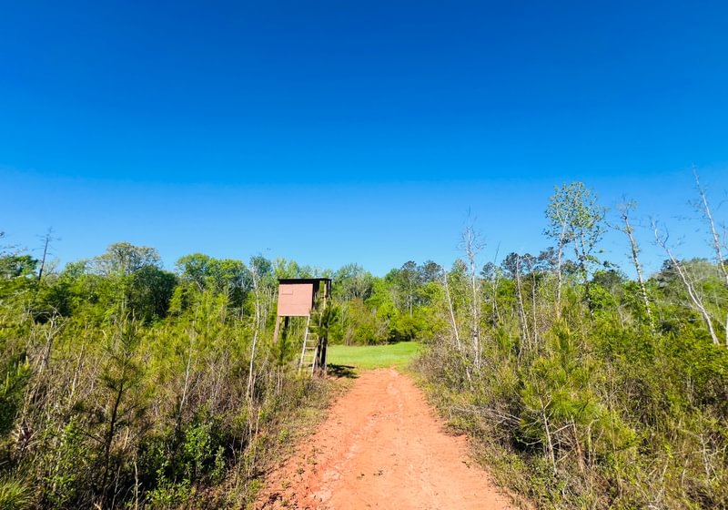 Photo 9 of Wolf Creek - Sportsman Tract, 182 acres, Jasper County, Georgia