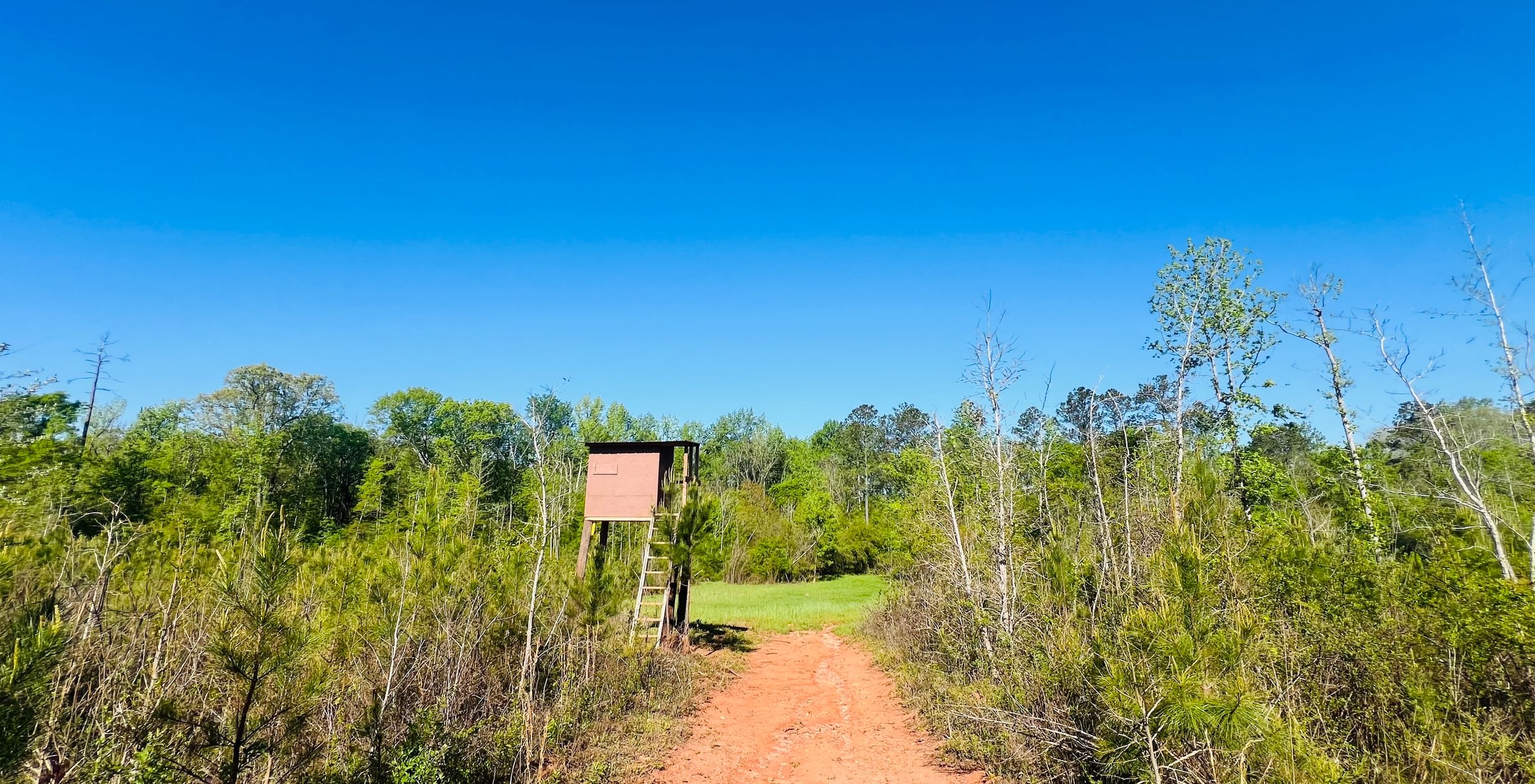 Photo 9 of Wolf Creek - Sportsman Tract, 182 acres, Jasper County, Georgia