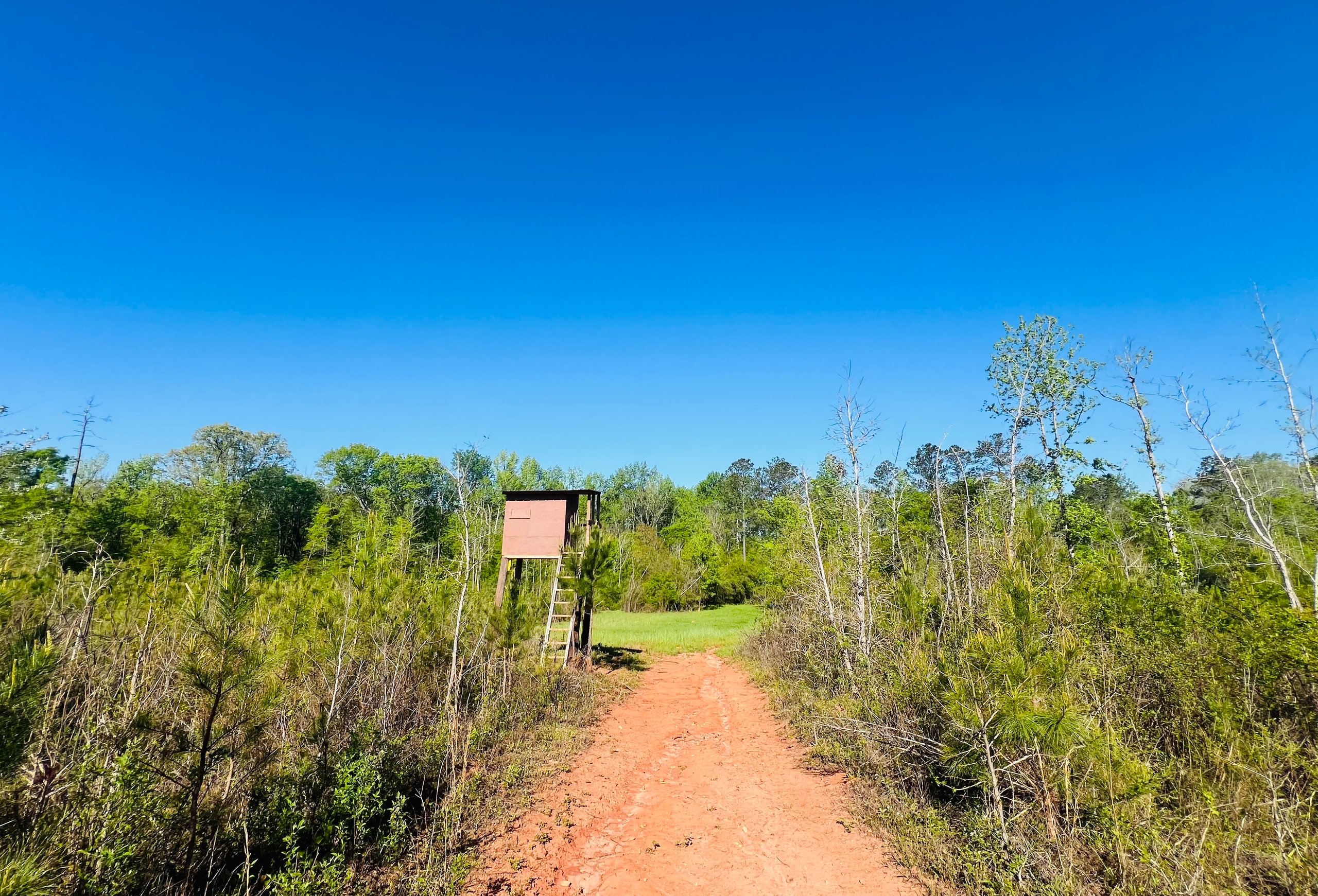 Photo 9 of Wolf Creek - Sportsman Tract, 182 acres, Jasper County, Georgia
