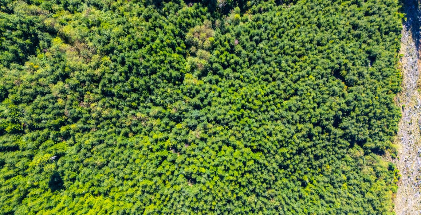 725 overhead 1