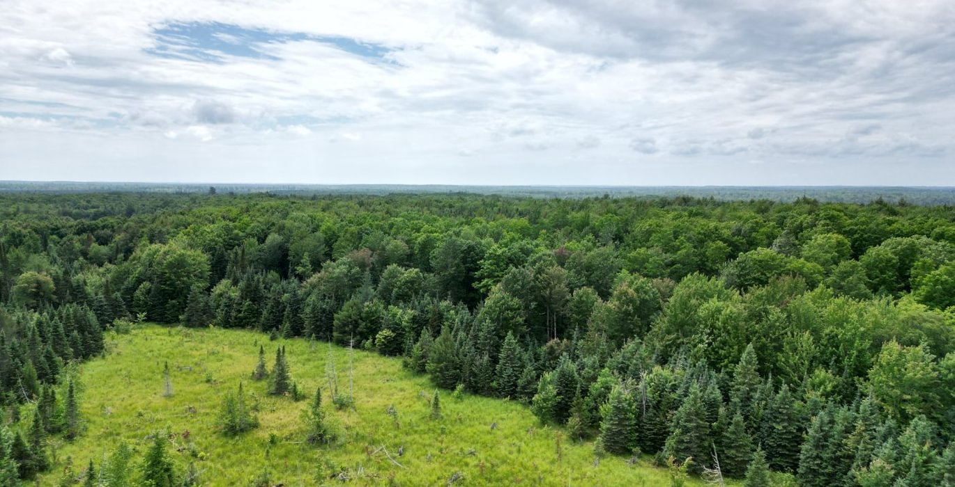 725 perchlake 44
