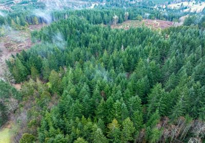 729 DJI 20260222105616 0008 D HLK