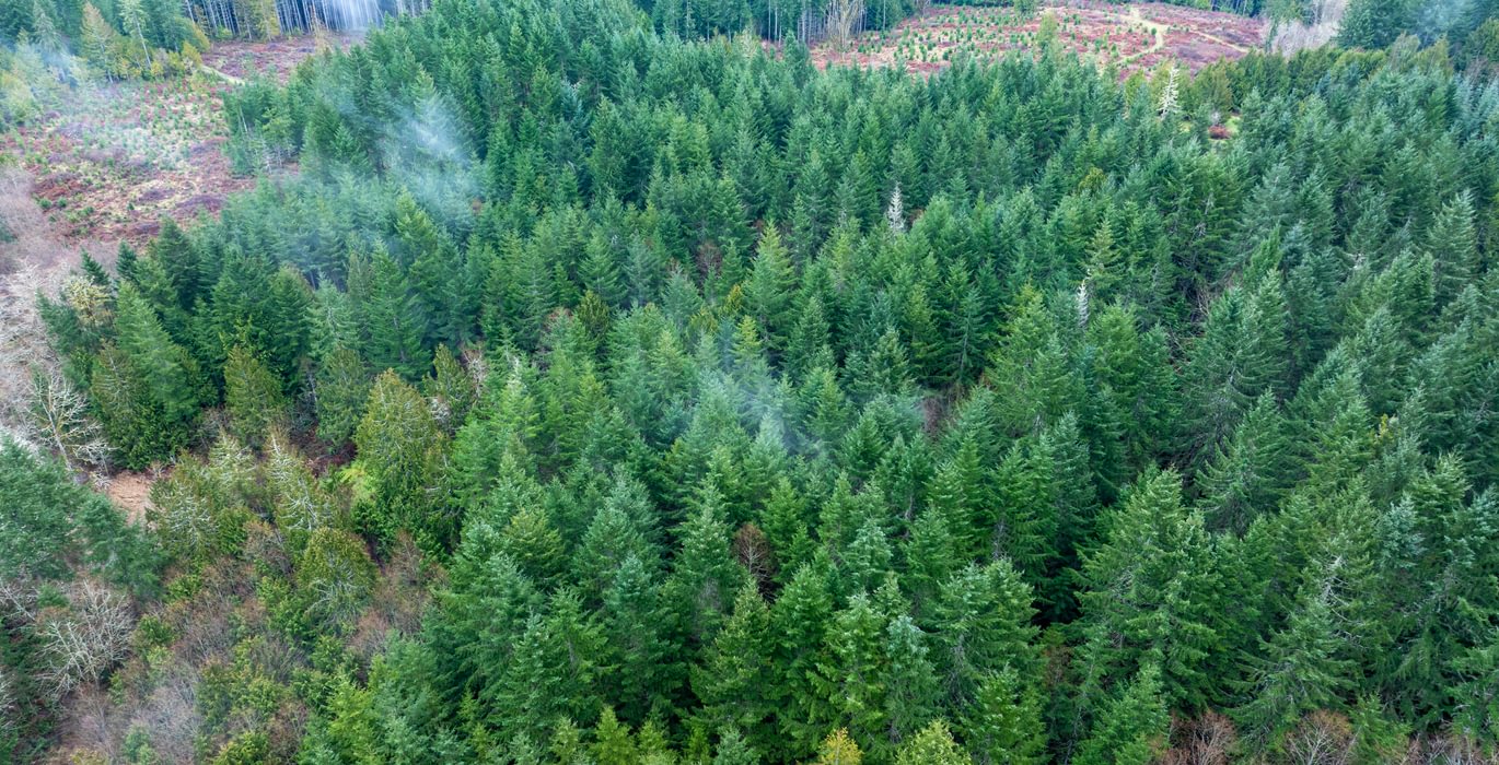 729 DJI 20260222105616 0008 D HLK