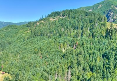 729 drone 19 July 11 2025 DJI 20250711110429 0107 D 08 D 09 D 10 D 11 Dhdr Beau Chevassus