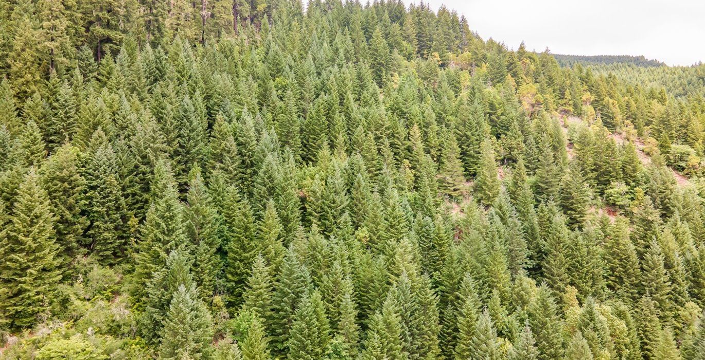 72 DJI 0695 HDR25