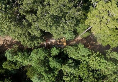 731 Simlin Creek Photo 10