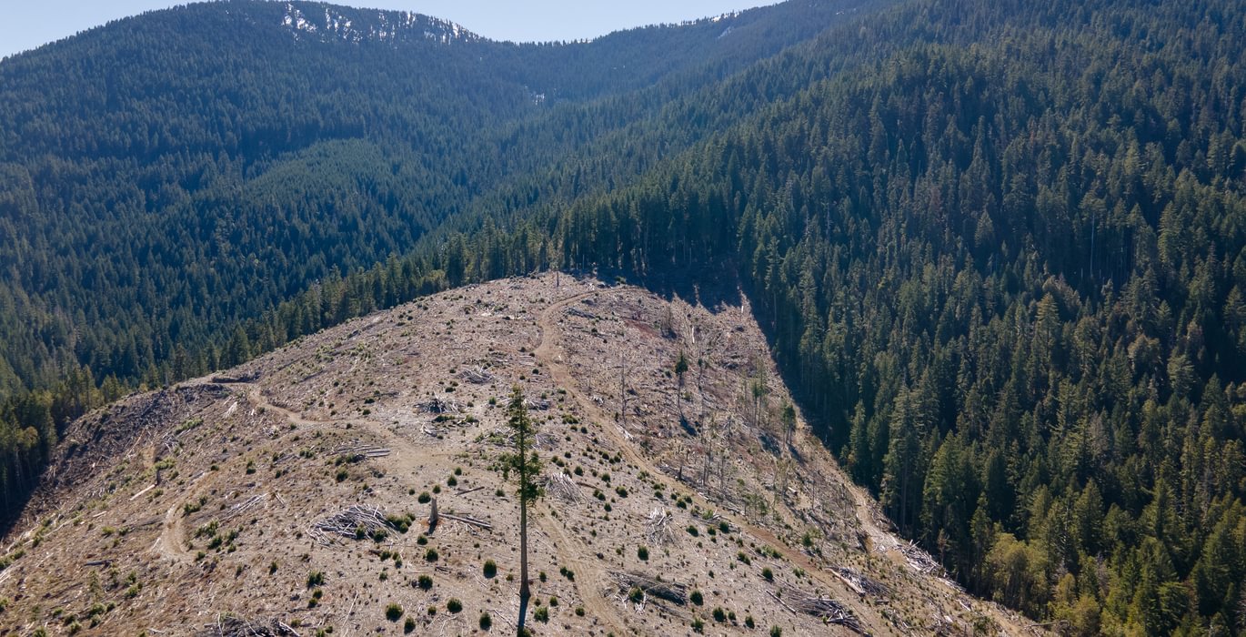 732 DJI 0903 HDR Merge