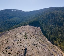 732 DJI 0903 HDR Merge