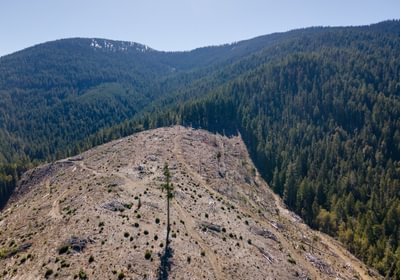 732 DJI 0903 HDR Merge