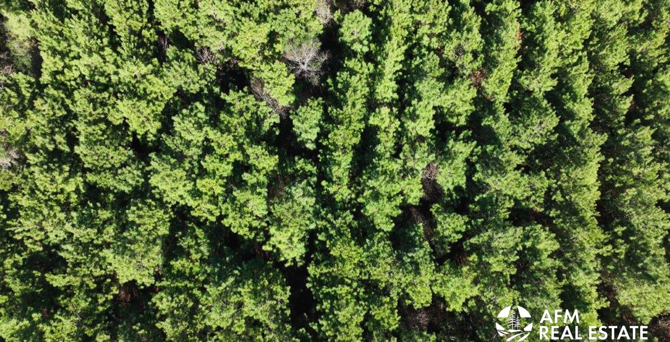 732 DJI 20250201142835 0023 V