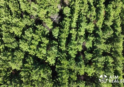 732 DJI 20250201142835 0023 V