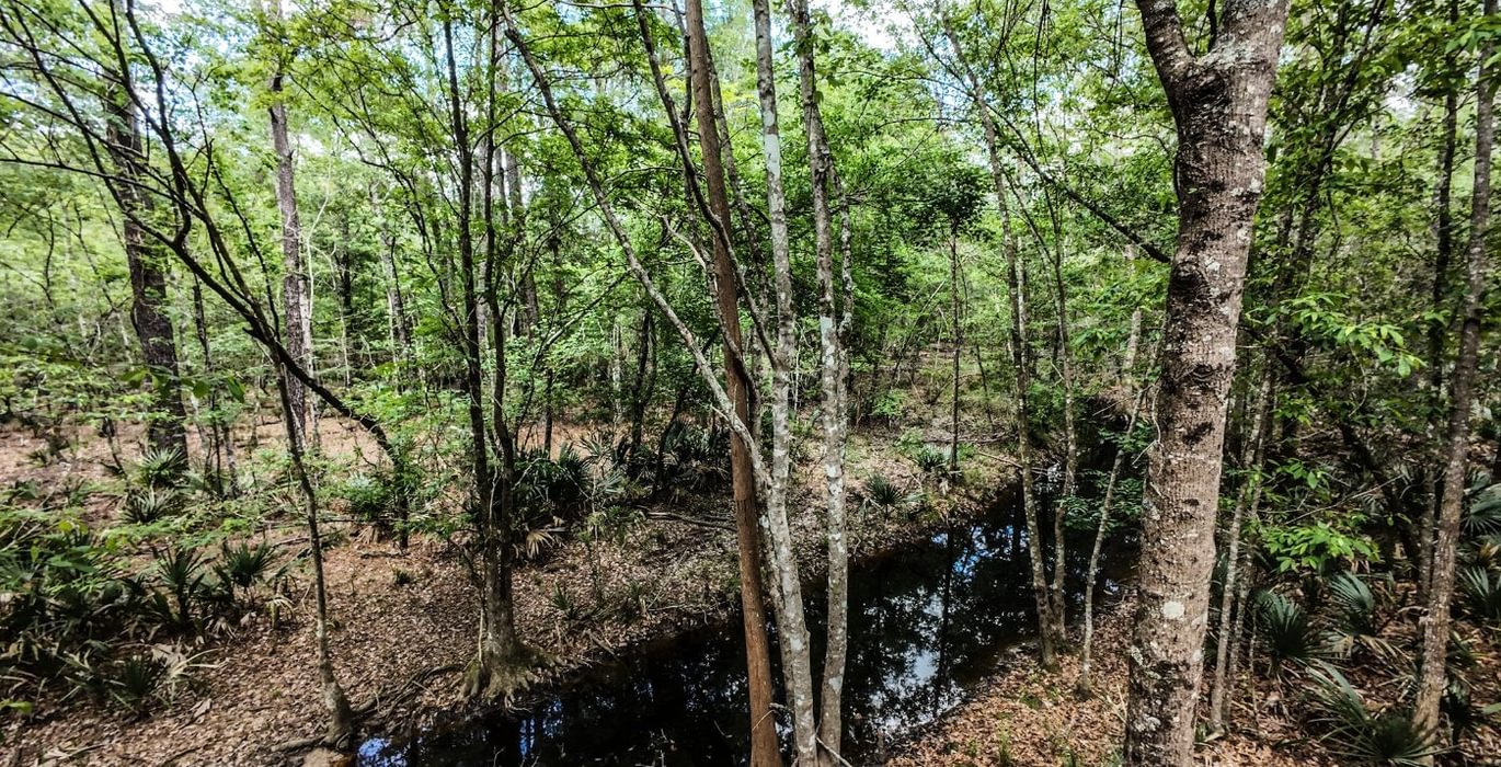 733 DJI 20250516231359 0073 D