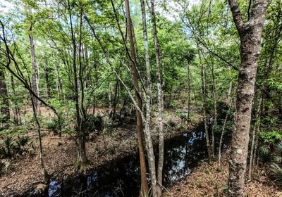 733 DJI 20250516231359 0073 D