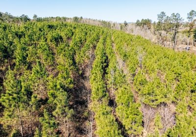 733 DJI 20260316103822 0034 D Medium