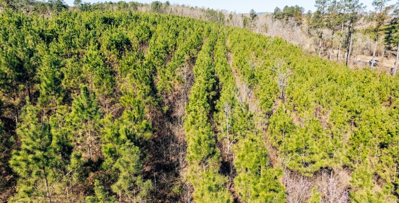 733 DJI 20260316103822 0034 D Medium