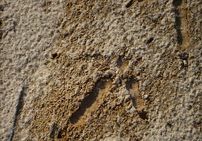 735 Church Hill pic11