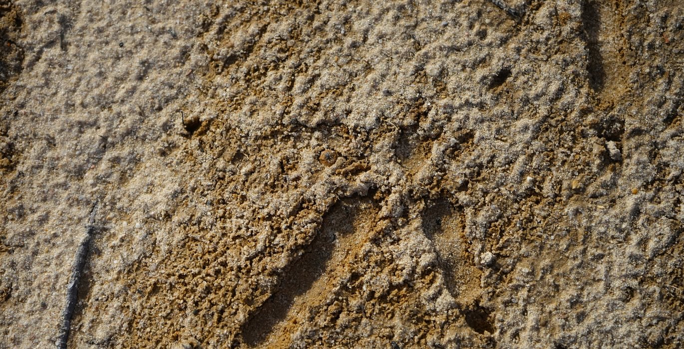 735 Church Hill pic11