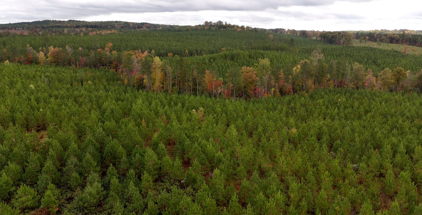 736 AFM Richmond 126 Tract Photo 17