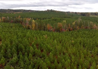 736 AFM Richmond 126 Tract Photo 17