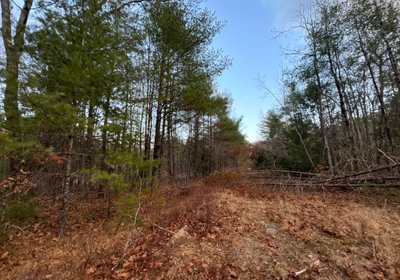738 Birch Drive 1