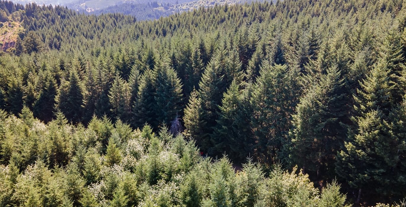 738 DJI 0074 HDR25