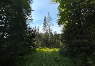 739 IMG 3146