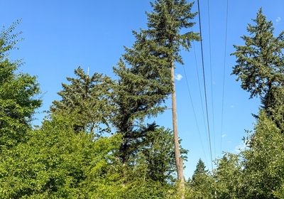739 Photo Jul 01 2025 8 38 56 AM